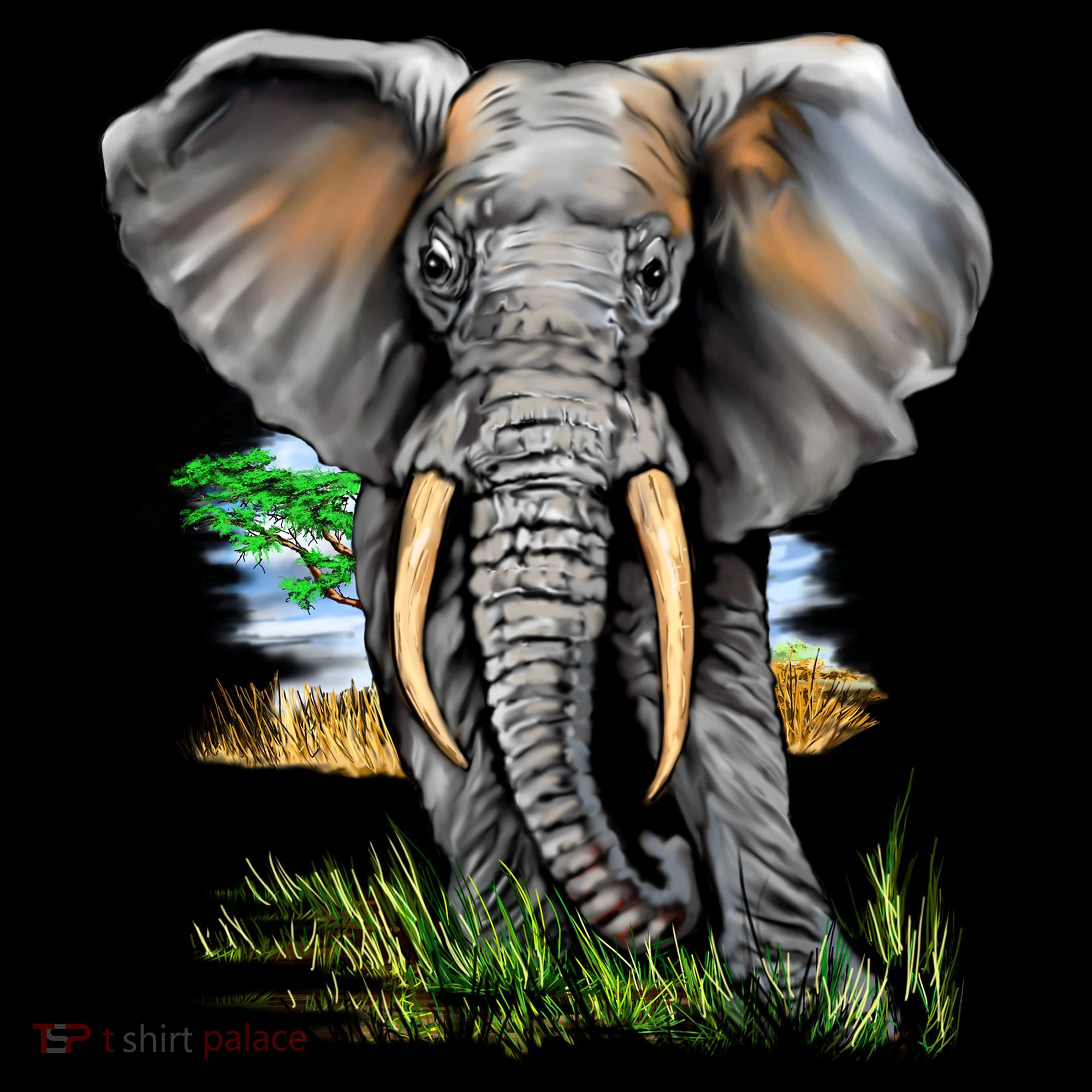 Wildlife - Big Face Elephant Portrait Sweatshirt