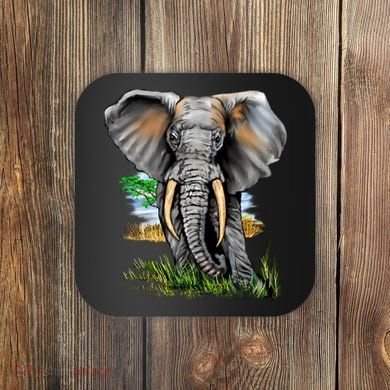 Wildlife - Big Face Elephant Portrait Coaster