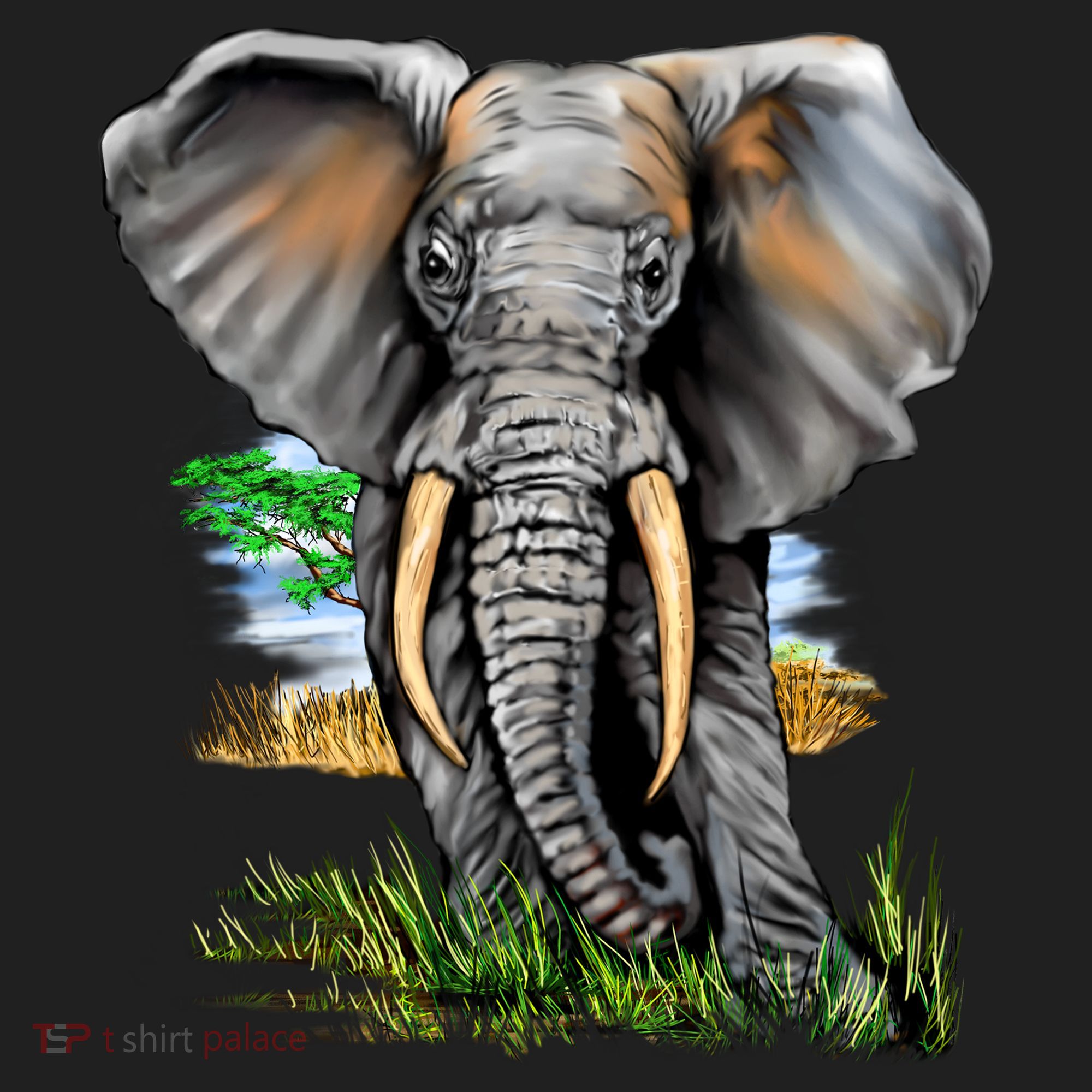 Wildlife - Big Face Elephant Portrait Tumbler