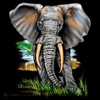 Wildlife - Big Face Elephant Portrait Women's Tank Top thumb 5