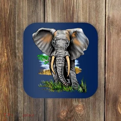 Coaster