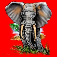 Wildlife - Big Face Elephant Portrait Santa Hat thumb 1