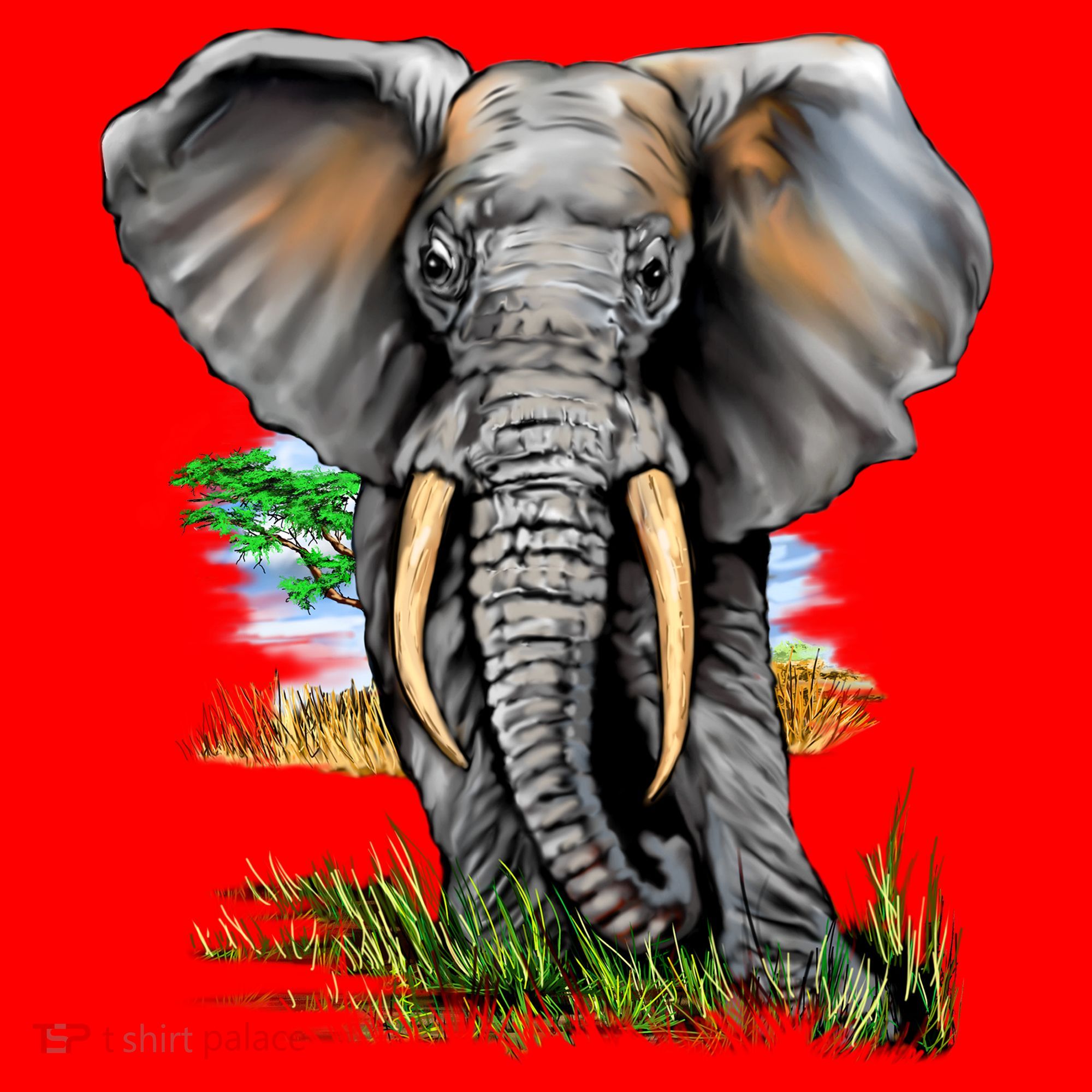 Wildlife - Big Face Elephant Portrait Santa Hat