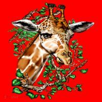 Wildlife - Big Face Giraffe Portrait Visor thumb 3