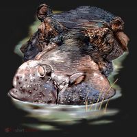 Wildlife - Big Face Hippo Portrait Backpack thumb 2
