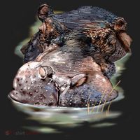 Wildlife - Big Face Hippo Portrait Golf Towel thumb 3