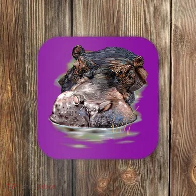 Coaster