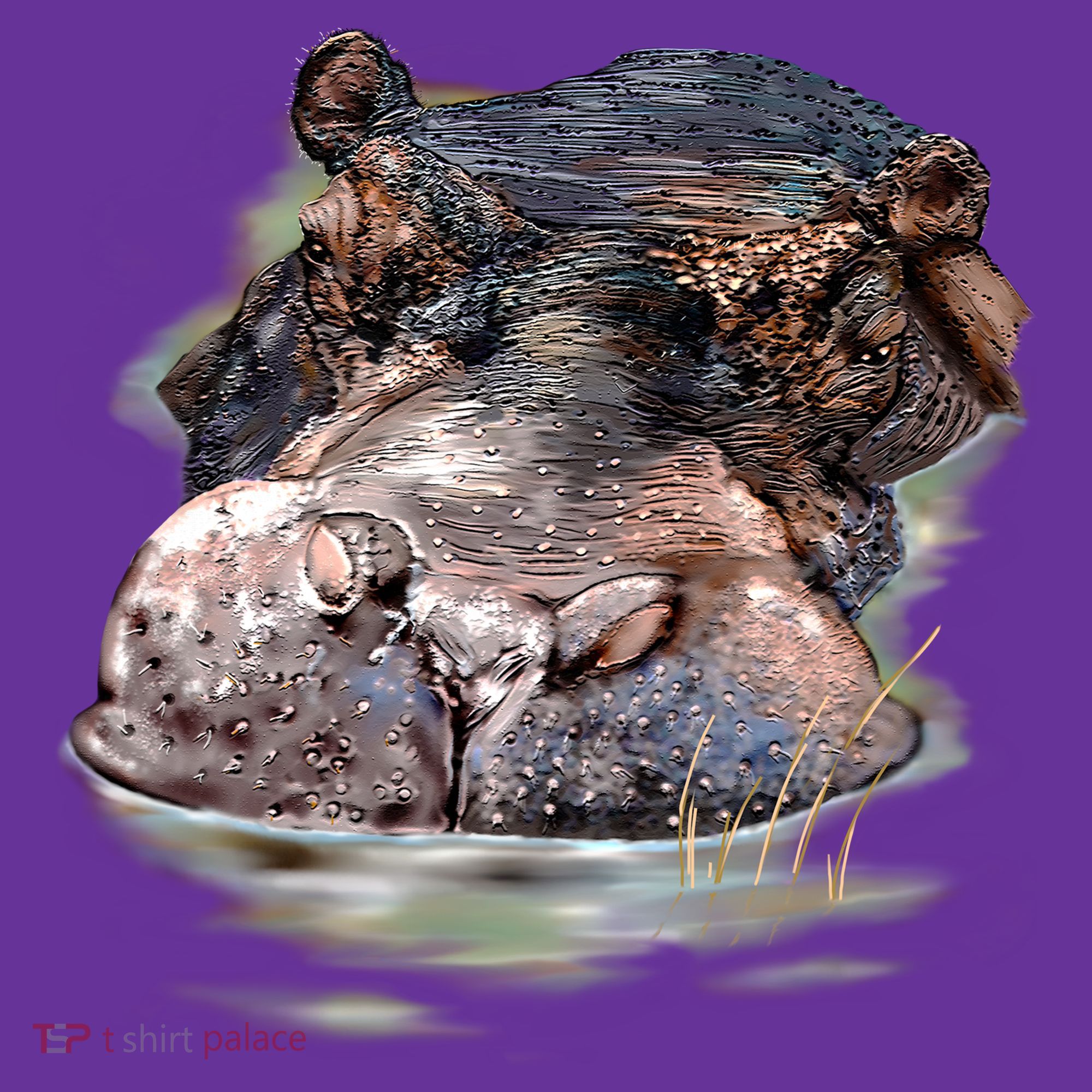Wildlife - Big Face Hippo Portrait Women's T-Shirt