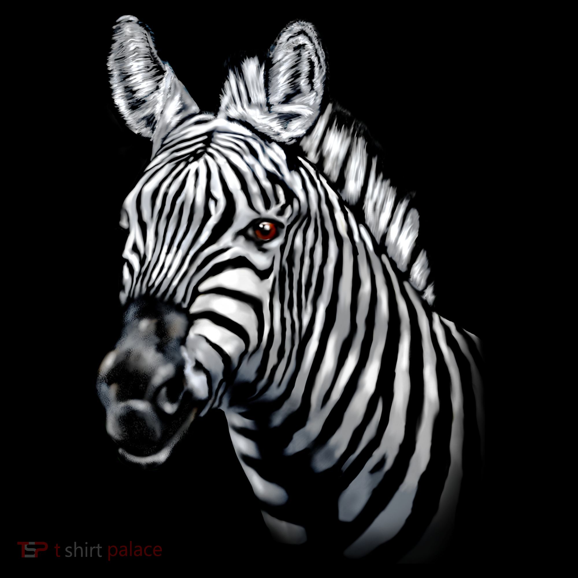 Wildlife - Big Face Zebra Up Close Portrait Sweatshirt