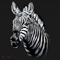 Wildlife - Big Face Zebra Up Close Portrait Coaster thumb 2