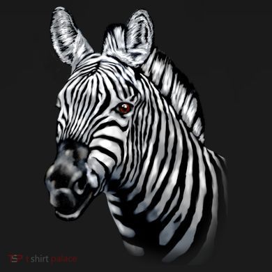 Wildlife - Big Face Zebra Up Close Portrait Tall Sweatshirt