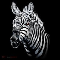 Wildlife - Big Face Zebra Up Close Portrait Tall Sweatshirt thumb 2