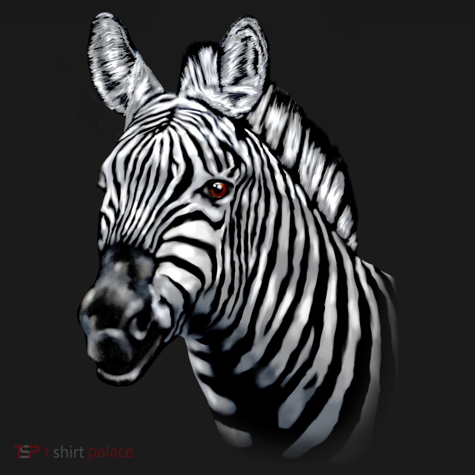 Wildlife - Big Face Zebra Up Close Portrait Visor