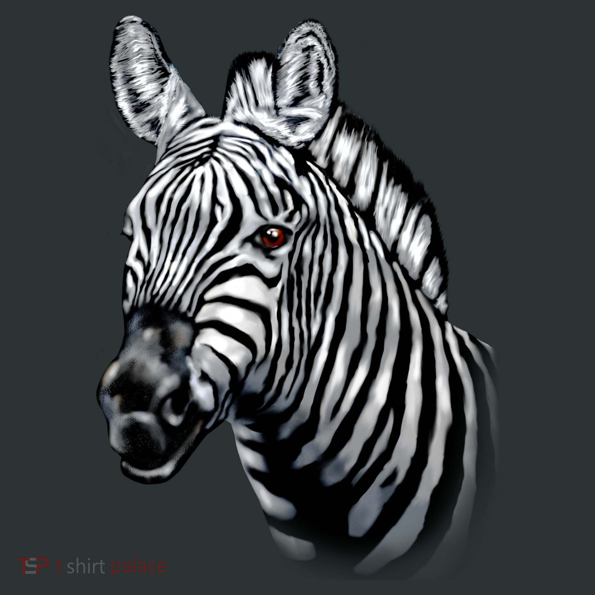 Wildlife - Big Face Zebra Up Close Portrait Infant Baby Jersey Bodysuit