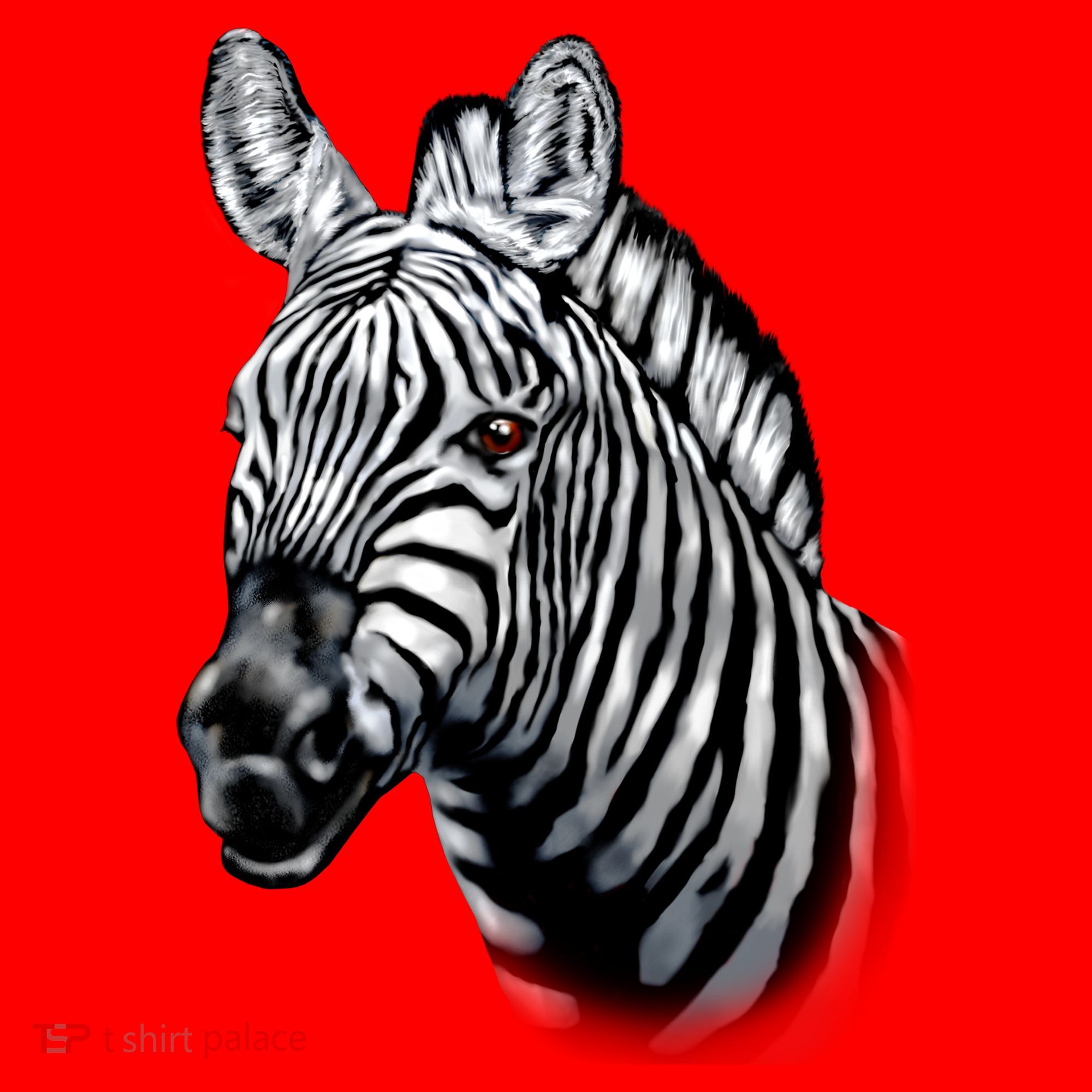 Wildlife - Big Face Zebra Up Close Portrait Santa Hat