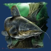 Wildlife - Catfish Swim Polo thumb 2