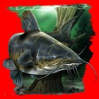 Wildlife - Catfish Swim Santa Hat thumb 1