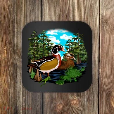 Coaster