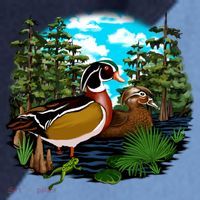Wildlife - Ducks Portrait Raglan Baseball Sleeve Shirt thumb 2