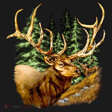 Wildlife - Elk Portrait Cooling Performance Crew T-Shirt