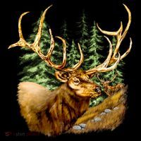 Wildlife - Elk Portrait Coffee Mug thumb 5