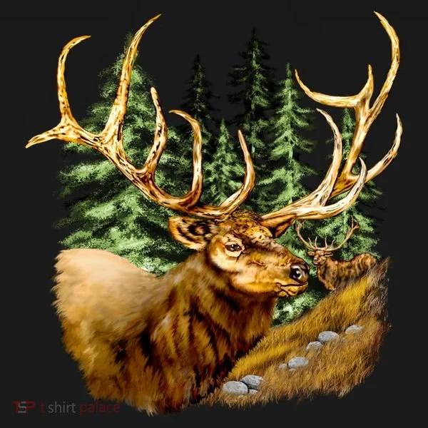 Wildlife - Elk Portrait Women's Hoodie