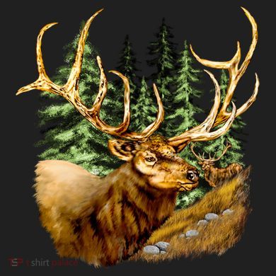 Wildlife - Elk Portrait Urban Oversized Heavyweight T-Shirt