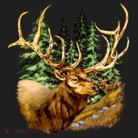 Wildlife - Elk Portrait Urban Oversized Heavyweight T-Shirt thumb 2