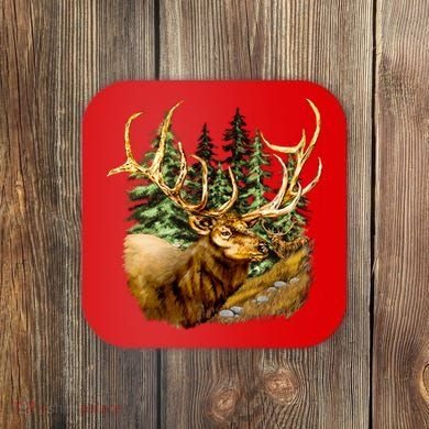 Wildlife - Elk Portrait Coaster