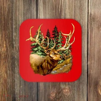 Coaster