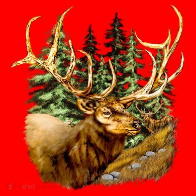Wildlife - Elk Portrait Ornament