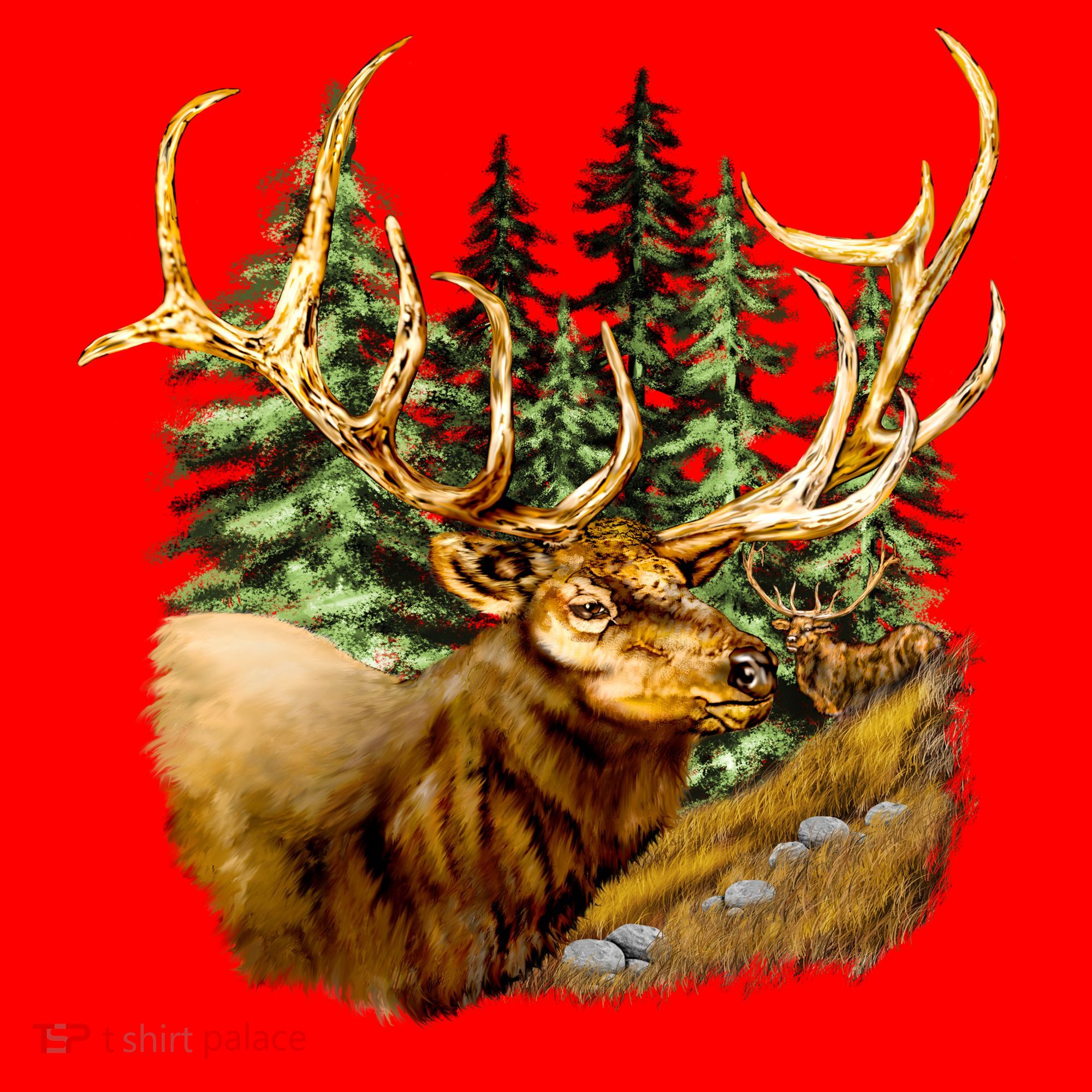 Wildlife - Elk Portrait Santa Hat