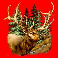 Wildlife - Elk Portrait Women's T-Shirt thumb 6