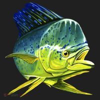 Wildlife - Mahi Mahi Women's Sweatshirt thumb 2
