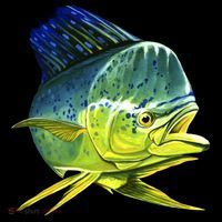 Wildlife - Mahi Mahi Women's Hoodie thumb 2
