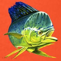 Wildlife - Mahi Mahi Coaster thumb 2