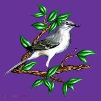 Wildlife - Mockingbird Posing Portrait Toddler T-Shirt thumb 4