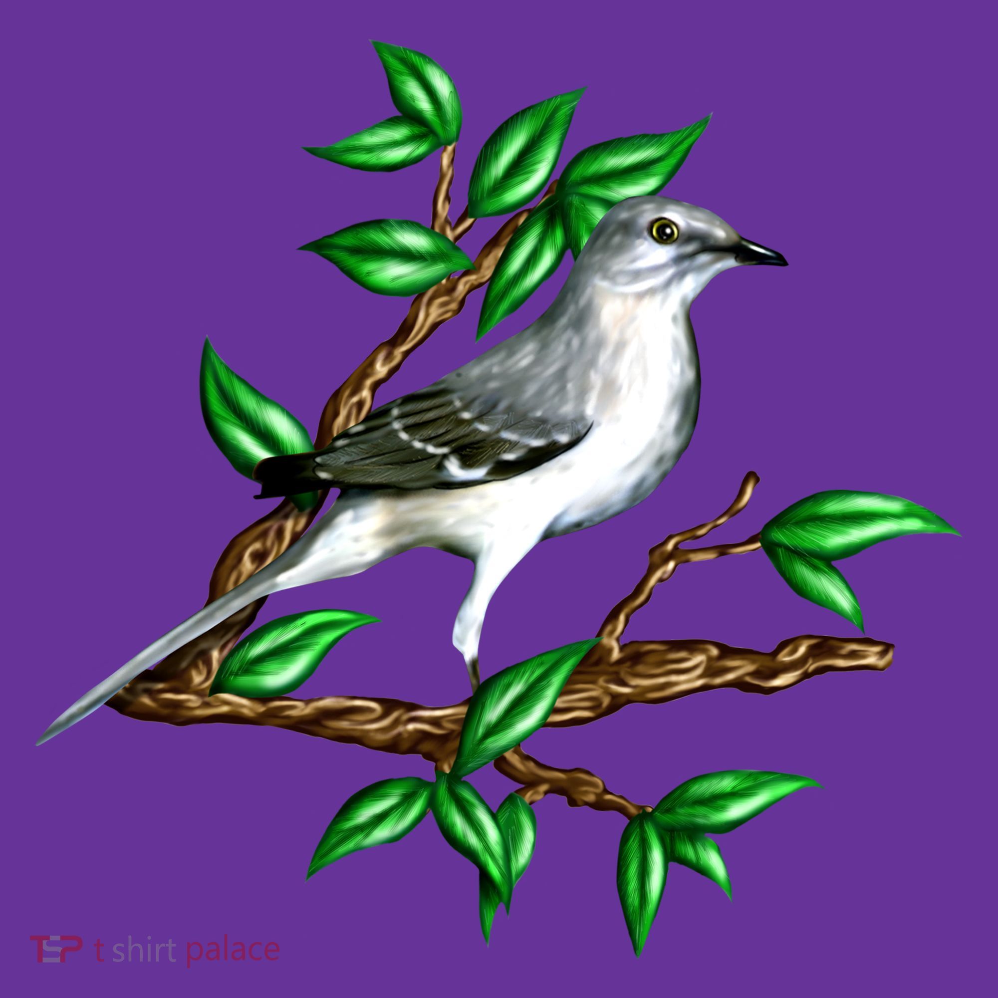 Wildlife - Mockingbird Posing Portrait Visor