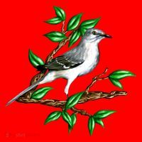 Wildlife - Mockingbird Posing Portrait Santa Hat thumb 1