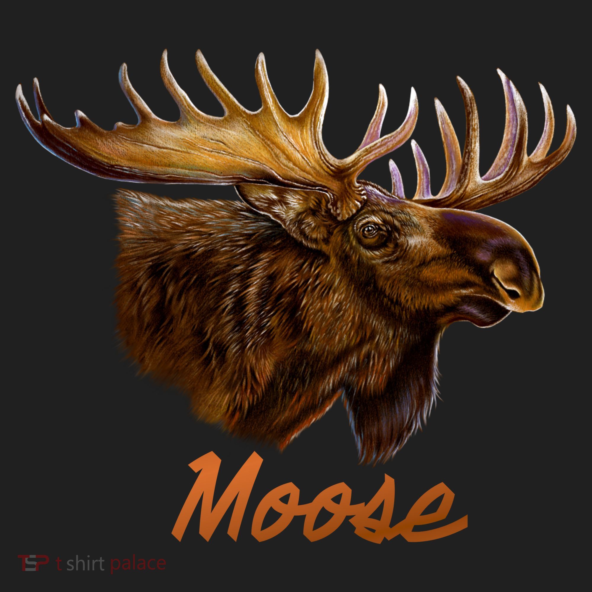 Wildlife - Moose Head Portrait Tumbler