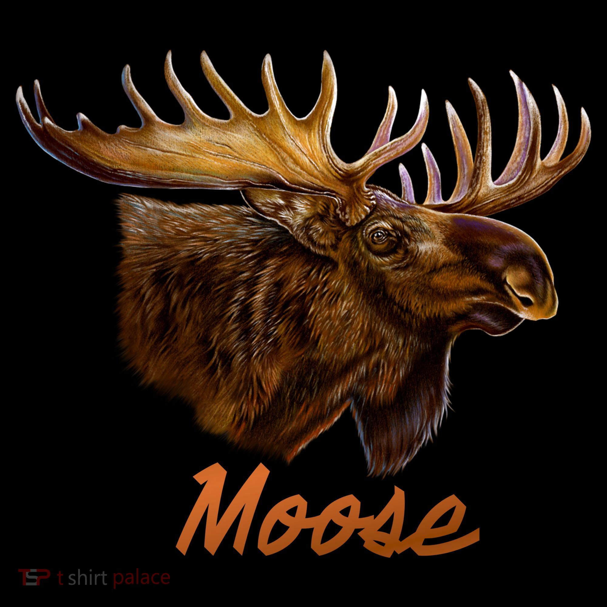 Wildlife - Moose Head Portrait Women's Long Sleeve Shirt