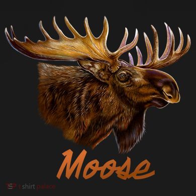 Wildlife - Moose Head Portrait Women's Perfect Tri Rocker Tank