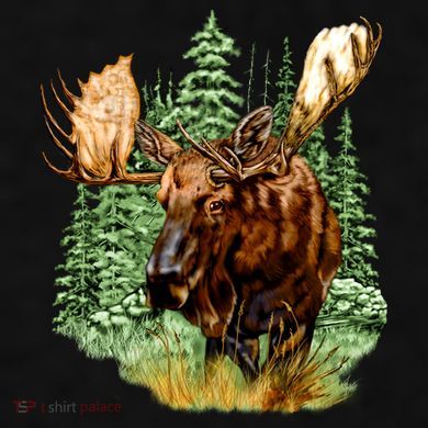 Wildlife - Moose Portrait Ladies PosiCharge Tri-Blend Wicking Tank