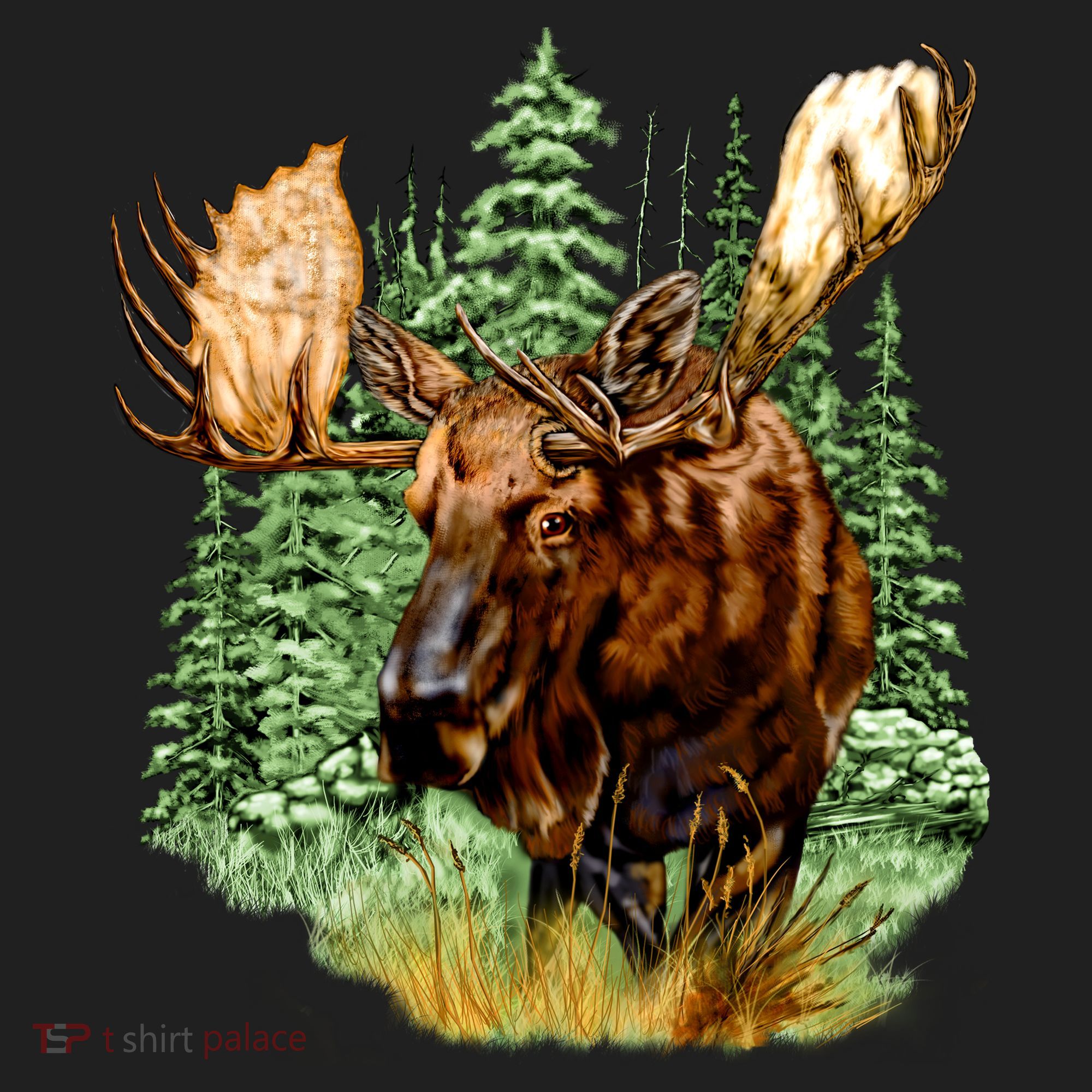 Wildlife - Moose Portrait Women's Sweatshirt