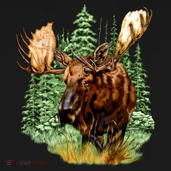Wildlife - Moose Portrait Bucket Hat