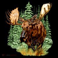 Wildlife - Moose Portrait 16 in Basic Backpack thumb 2
