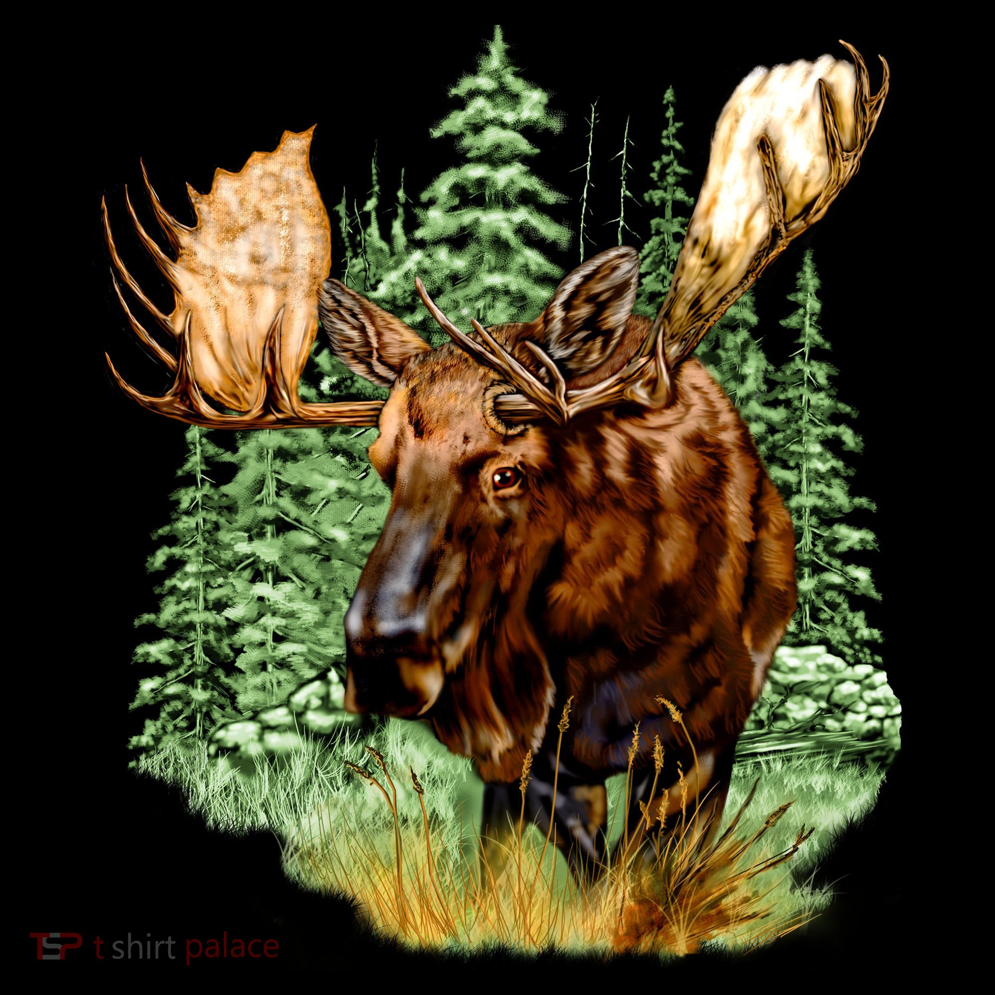 Wildlife - Moose Portrait Women's Hoodie