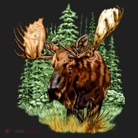 Wildlife - Moose Portrait 24oz Duet Stainless Steel Tumbler thumb 2