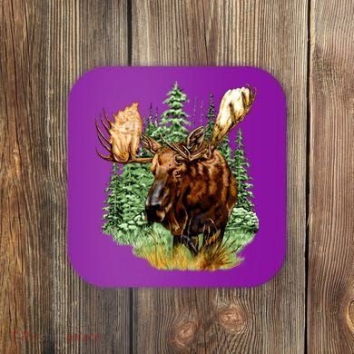 Wildlife - Moose Portrait Coaster