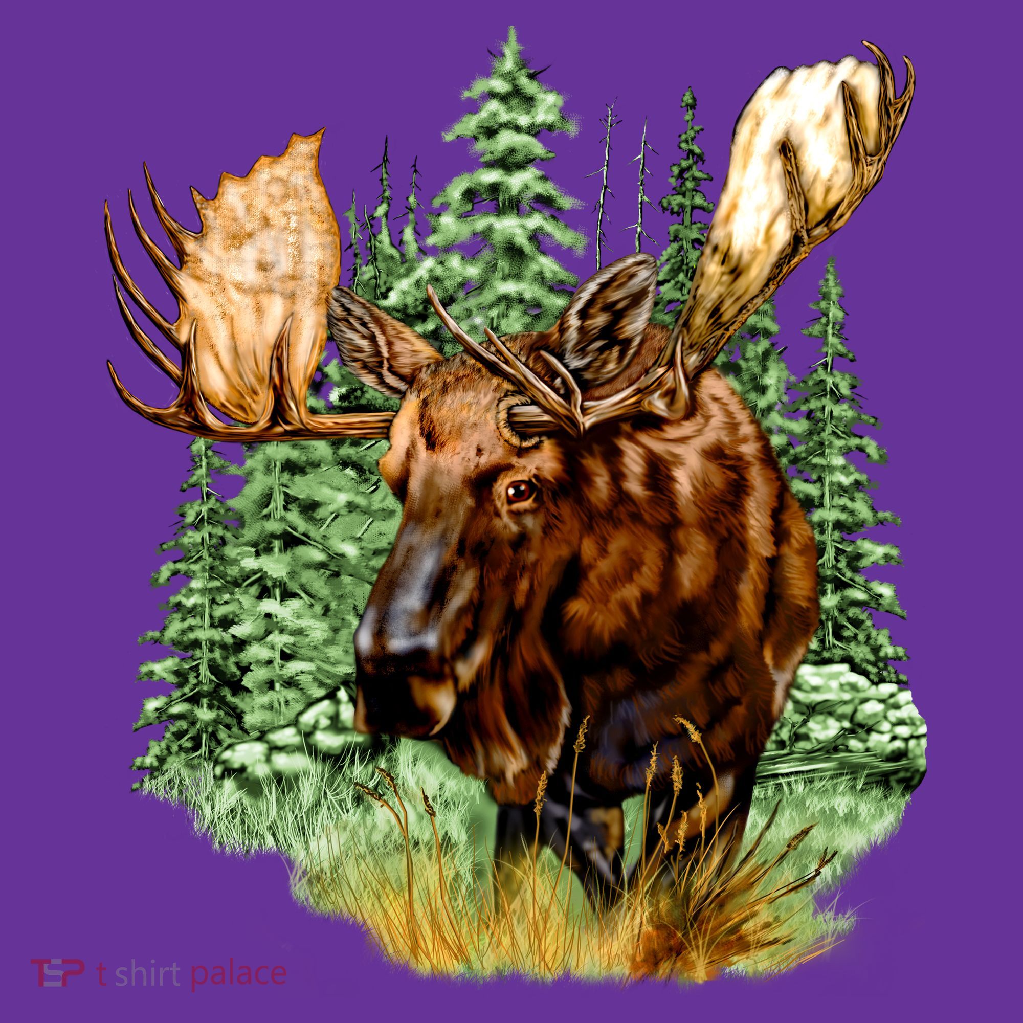 Wildlife - Moose Portrait Coaster